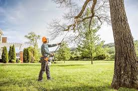 Lawn Watering Services in Riverside, IL
