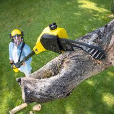 Best Firewood Processing and Delivery  in Riverside, IL